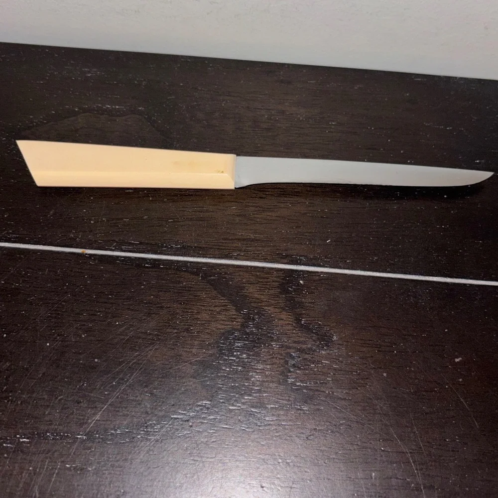 Cattaraugus | Kitchen Knife |‎ 9 inch | Acrylic Handle | MCM